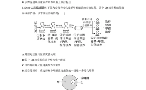 模块检测卷(五)_新高考复习资料_2023年新高考复习资料_一轮复习_2023年新高考大一轮复习讲义_2023年高考生物一轮复习讲义（新人教新高考）_赠补充习题_Word版题库第七~十单元