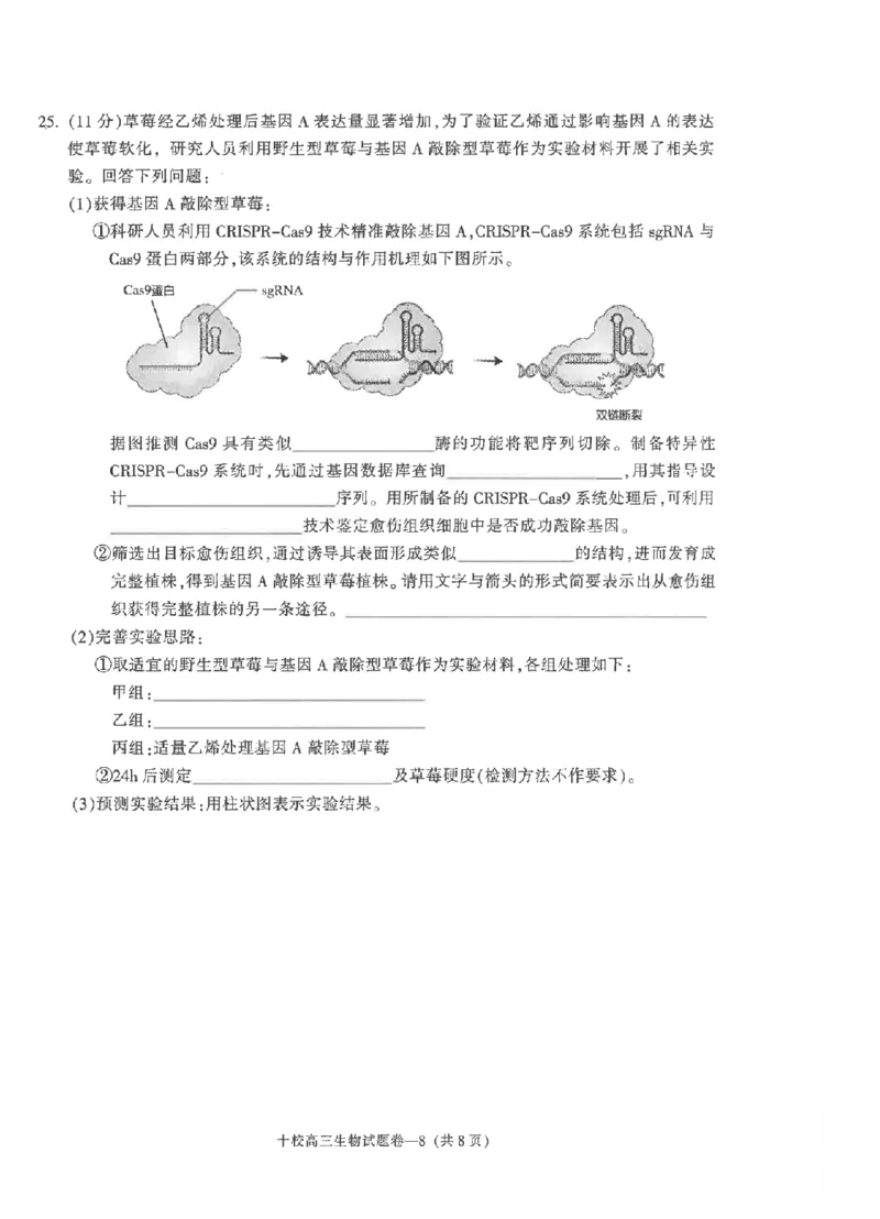 金华十校2026年4月高三模拟考试生物_2024-2026高三（6-6月题库）_2026年04月高三试卷_260412浙江省金华十校2026年4月高三模拟考试（全科）