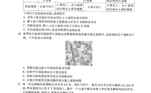 金华十校2026年4月高三模拟考试生物_2024-2026高三（6-6月题库）_2026年04月高三试卷_260412浙江省金华十校2026年4月高三模拟考试（全科）