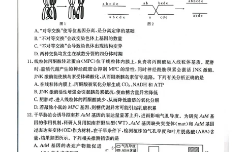 随州市2026届高三下学期4月三模考试生物_2024-2026高三（6-6月题库）_2026年04月高三试卷_260426湖北省随州市2026届高三下学期4月三模考试（全科）