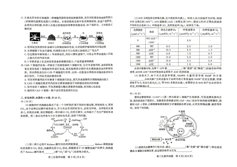 高三（4月）调研模拟考试生物_2024-2026高三（6-6月题库）_2026年04月高三试卷_2604302026届湖北省高三(4月)调研模拟考试（全科）_2026届湖北省高三(4月)调研模拟考试生物