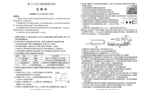 高三（4月）调研模拟考试生物_2024-2026高三（6-6月题库）_2026年04月高三试卷_2604302026届湖北省高三(4月)调研模拟考试（全科）_2026届湖北省高三(4月)调研模拟考试生物