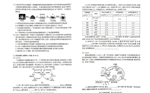 高三（4月）调研模拟考试生物_2024-2026高三（6-6月题库）_2026年04月高三试卷_2604302026届湖北省高三(4月)调研模拟考试（全科）_2026届湖北省高三(4月)调研模拟考试生物