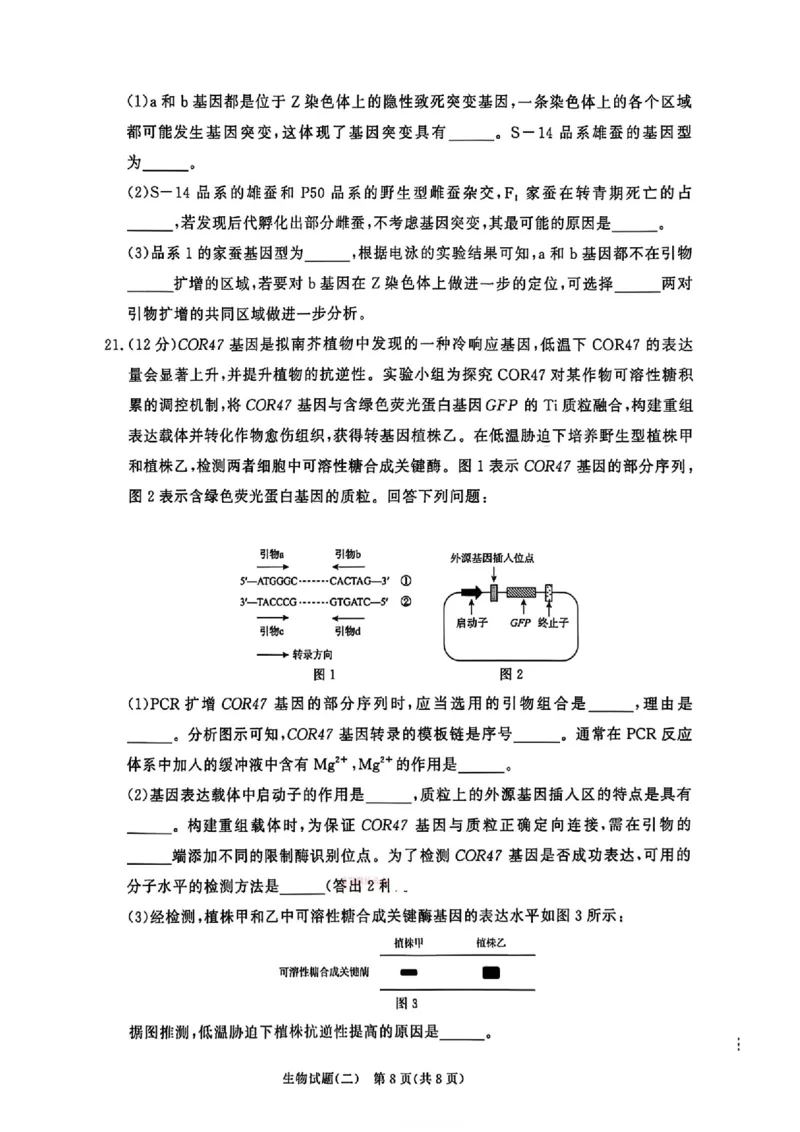 青桐鸣大联考2026届高三下学期学情调研（二）生物_2024-2026高三（6-6月题库）_2026年03月高三试卷_260316河南省青桐鸣大联考2026届高三下学期学情调研（二）（全科）