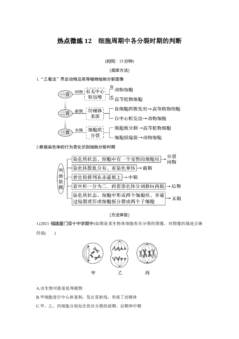 热点微练12　细胞周期中各分裂时期的判断_新高考复习资料_2023年新高考复习资料_一轮复习_2023年新高考大一轮复习讲义_2023年高考生物一轮复习讲义（新人教新高考）_赠补充习题