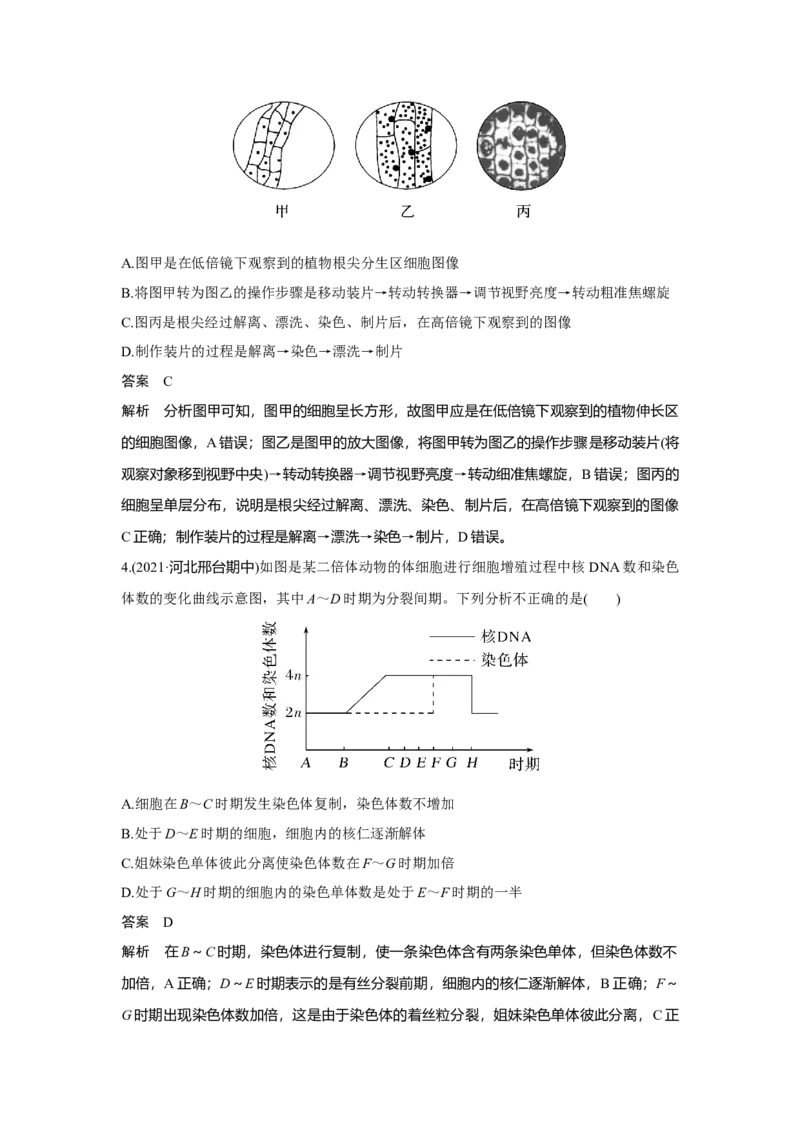 热点微练12　细胞周期中各分裂时期的判断_新高考复习资料_2023年新高考复习资料_一轮复习_2023年新高考大一轮复习讲义_2023年高考生物一轮复习讲义（新人教新高考）_赠补充习题