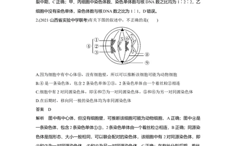 热点微练12　细胞周期中各分裂时期的判断_新高考复习资料_2023年新高考复习资料_一轮复习_2023年新高考大一轮复习讲义_2023年高考生物一轮复习讲义（新人教新高考）_赠补充习题