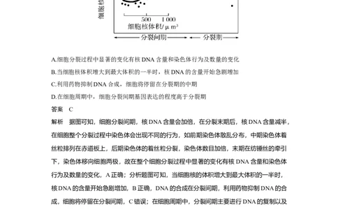 热点微练12　细胞周期中各分裂时期的判断_新高考复习资料_2023年新高考复习资料_一轮复习_2023年新高考大一轮复习讲义_2023年高考生物一轮复习讲义（新人教新高考）_赠补充习题
