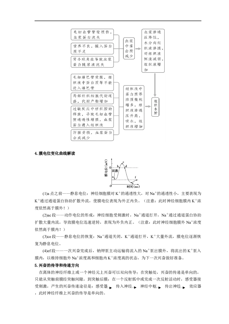 易错点21人体的内环境及神经调节（原卷版）_通用版（老高考）复习资料_2023年复习资料_专项复习_备战2023年高考生物考试易错题（全国通用）