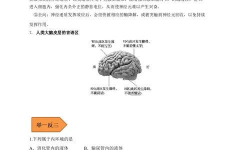 易错点21人体的内环境及神经调节（原卷版）_通用版（老高考）复习资料_2023年复习资料_专项复习_备战2023年高考生物考试易错题（全国通用）