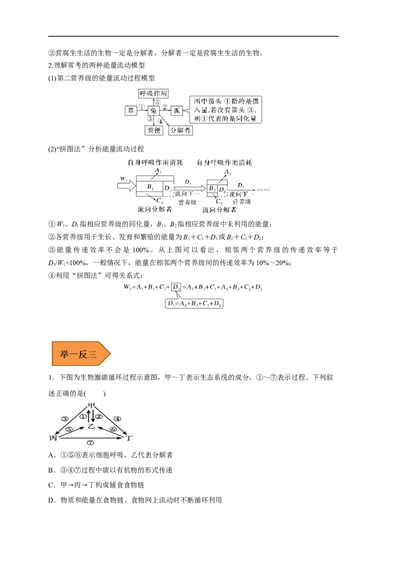 易错点25生态系统的成分及能量流动的过程-备战2023年高考生物考试易错题（新教材新高考）（原卷版）_新高考复习资料_2023年新高考复习资料_专项复习