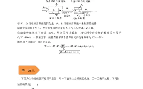 易错点25生态系统的成分及能量流动的过程-备战2023年高考生物考试易错题（新教材新高考）（原卷版）_新高考复习资料_2023年新高考复习资料_专项复习