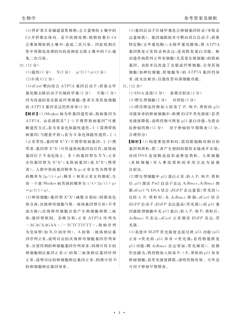 高三3月份生物答案（2026届高三年级3月份学情诊断）_2024-2026高三（6-6月题库）_2026年03月高三试卷_250309衡水金卷2026届高三年级3月份学情诊断（全科）