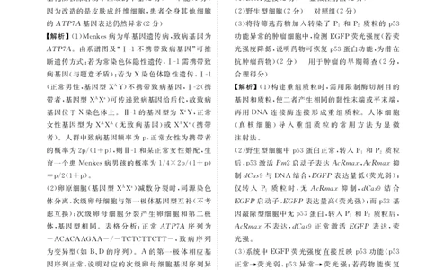 高三3月份生物答案（2026届高三年级3月份学情诊断）_2024-2026高三（6-6月题库）_2026年03月高三试卷_250309衡水金卷2026届高三年级3月份学情诊断（全科）