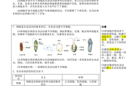 知识清单01+走近细胞（6大考点+7个易错点）-上好课2025年高考生物一轮复习知识清单_新高考复习资料_2025年新高考资料_2025年高考生物一轮复习知识清单