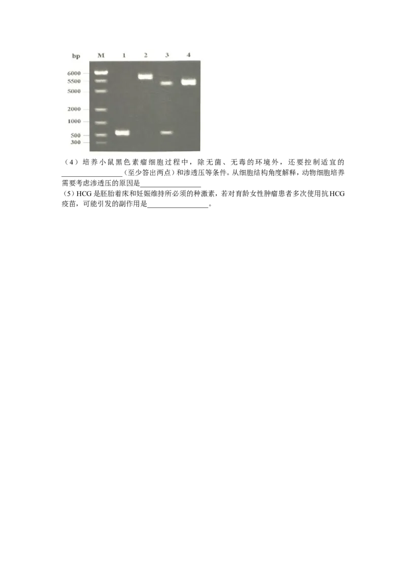江苏省镇江市23届高三上学期期初考试生物含答案_生物高考模拟题_新高考_2023年