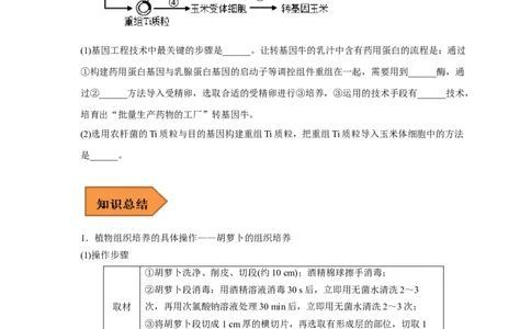 易错点27细胞工程与胚胎工程-备战2023年高考生物考试易错题（新教材新高考）（原卷版）_新高考复习资料_2023年新高考复习资料_专项复习