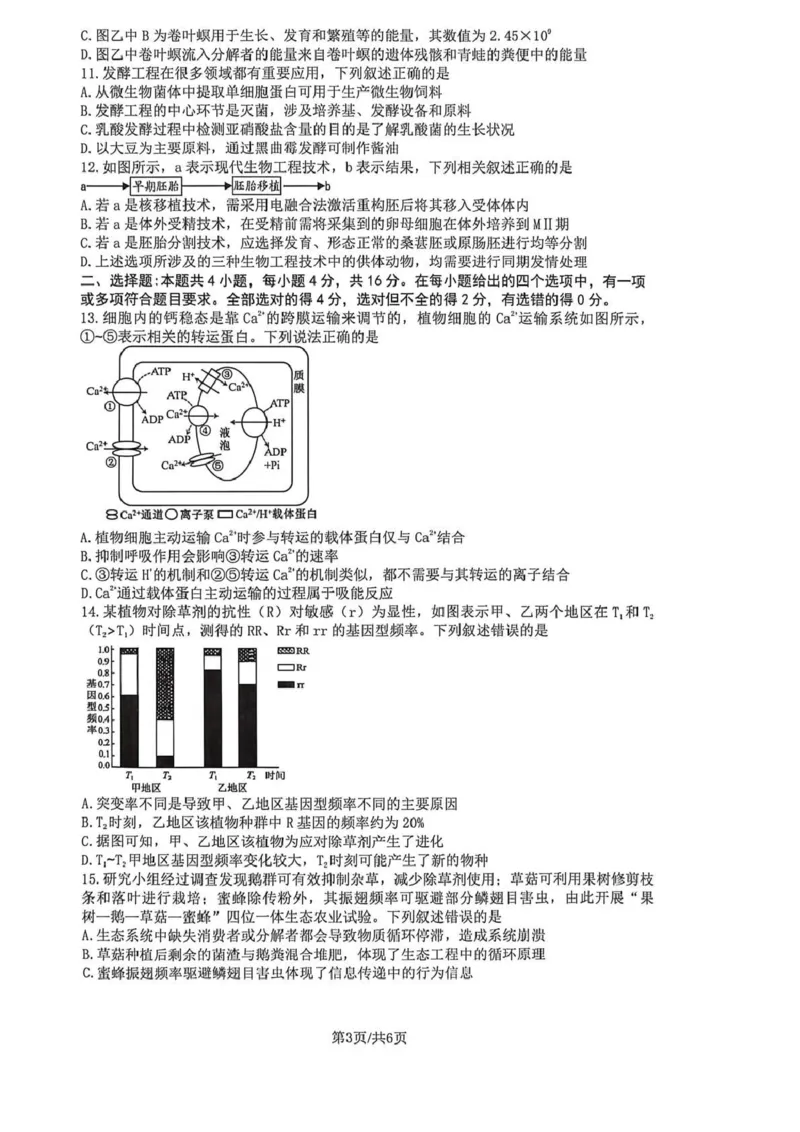 长望浏宁四区县市2026届高三四月份调研考试生物_2024-2026高三（6-6月题库）_2026年04月高三试卷_260413湖南省长望浏宁四区县市2026届高三四月份调研考试