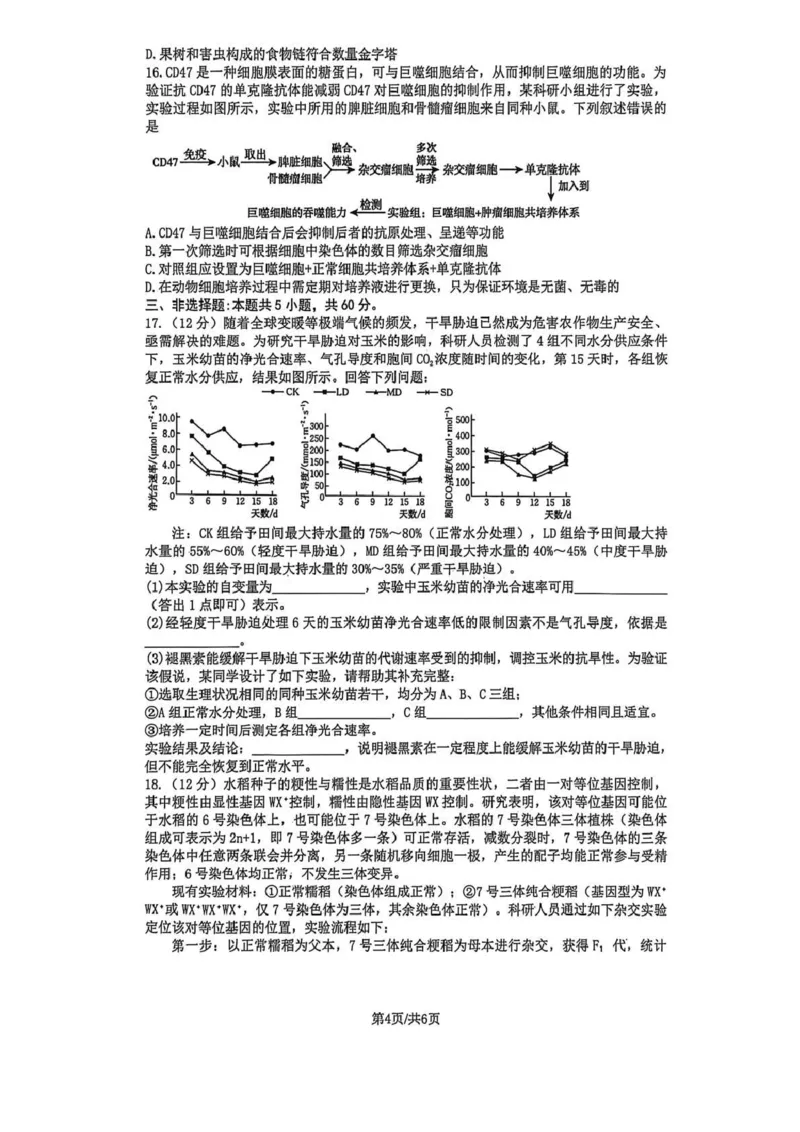长望浏宁四区县市2026届高三四月份调研考试生物_2024-2026高三（6-6月题库）_2026年04月高三试卷_260413湖南省长望浏宁四区县市2026届高三四月份调研考试