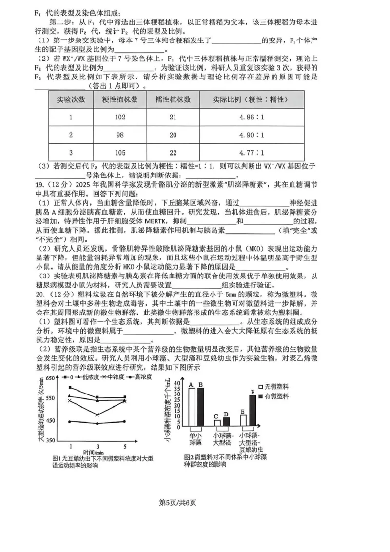长望浏宁四区县市2026届高三四月份调研考试生物_2024-2026高三（6-6月题库）_2026年04月高三试卷_260413湖南省长望浏宁四区县市2026届高三四月份调研考试