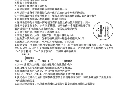 长望浏宁四区县市2026届高三四月份调研考试生物_2024-2026高三（6-6月题库）_2026年04月高三试卷_260413湖南省长望浏宁四区县市2026届高三四月份调研考试