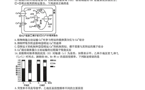 长望浏宁四区县市2026届高三四月份调研考试生物_2024-2026高三（6-6月题库）_2026年04月高三试卷_260413湖南省长望浏宁四区县市2026届高三四月份调研考试