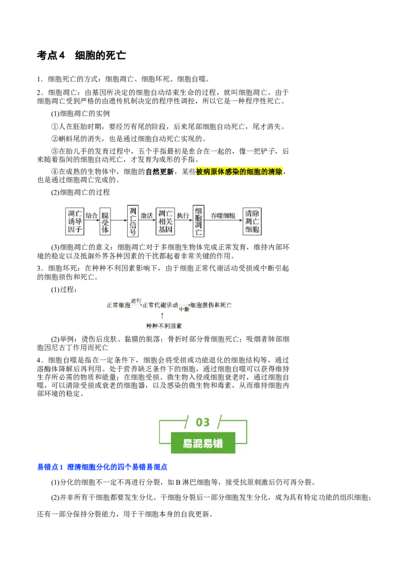 知识清单09+细胞的分化、衰老和死亡（4大考点+5个易错点）-上好课2025年高考生物一轮复习知识清单_2025年新高考资料_一轮复习_上好课2025年高考生物一轮复习知识清单325572639