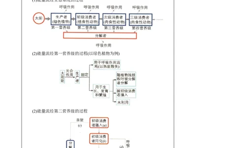 知识清单30生态系统的功能（4大考点+8个易错点）-上好课2025年高考生物一轮复习知识清单_2025年新高考资料_一轮复习_上好课2025年高考生物一轮复习知识清单325572639
