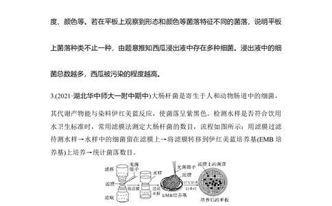 热点微练30微生物的培养与应用_通用版（老高考）复习资料_2023年复习资料_一轮复习_2023年高考生物一轮复习讲义+课件（全国版）_2023年高考生物一轮复习讲义（全国版）_赠补充习题