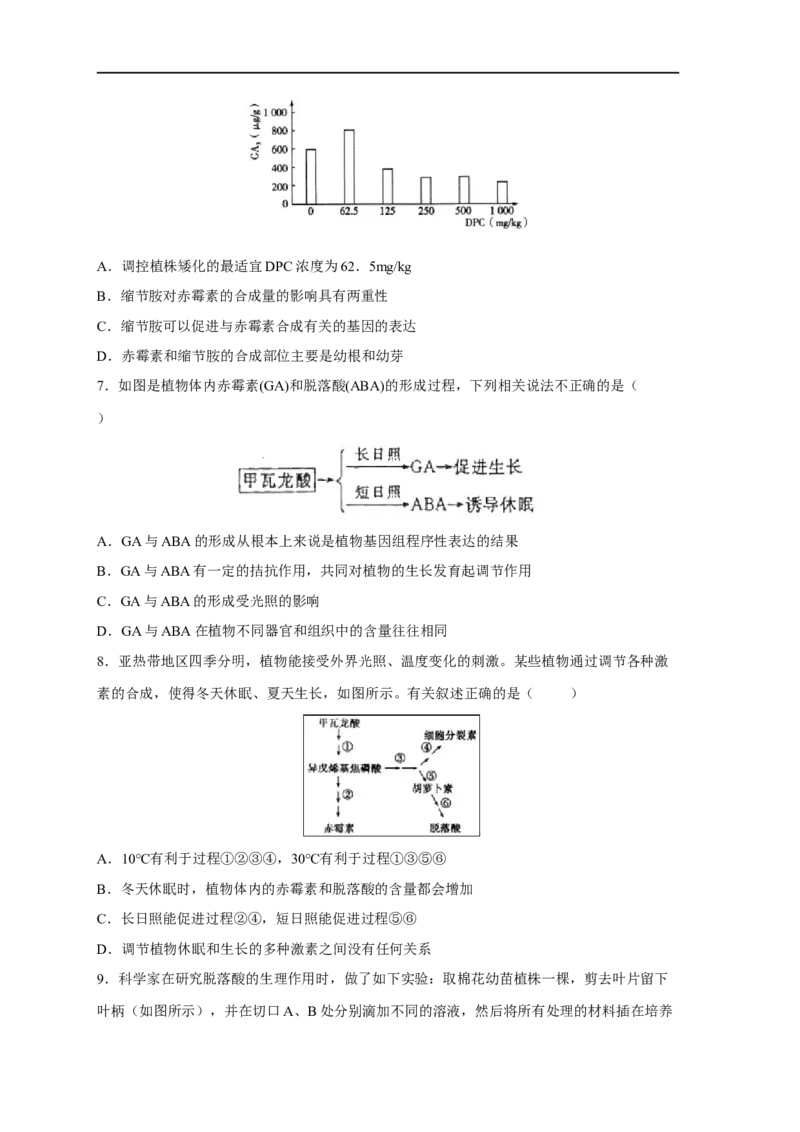 易错点23植物生命活动的调节-备战2023年高考生物考试易错题（新教材新高考）（原卷版）_新高考复习资料_2023年新高考复习资料_专项复习