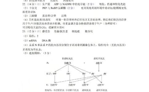 金华十校2026年4月高三模拟考试生物答案_2024-2026高三（6-6月题库）_2026年04月高三试卷_260412浙江省金华十校2026年4月高三模拟考试（全科）