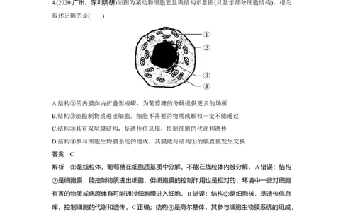 热点微练4　突破细胞的结构与功能_新高考复习资料_2023年新高考复习资料_一轮复习_2023年新高考大一轮复习讲义_2023年高考生物一轮复习讲义（新人教新高考）_赠补充习题