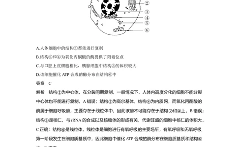 热点微练4　突破细胞的结构与功能_新高考复习资料_2023年新高考复习资料_一轮复习_2023年新高考大一轮复习讲义_2023年高考生物一轮复习讲义（新人教新高考）_赠补充习题