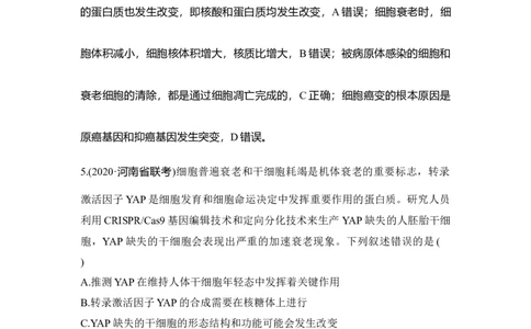 热点微练14细胞分化、衰老、凋亡、癌变与人体健康_通用版（老高考）复习资料_2023年复习资料_一轮复习_2023年高考生物一轮复习讲义+课件（全国版）_赠补充习题