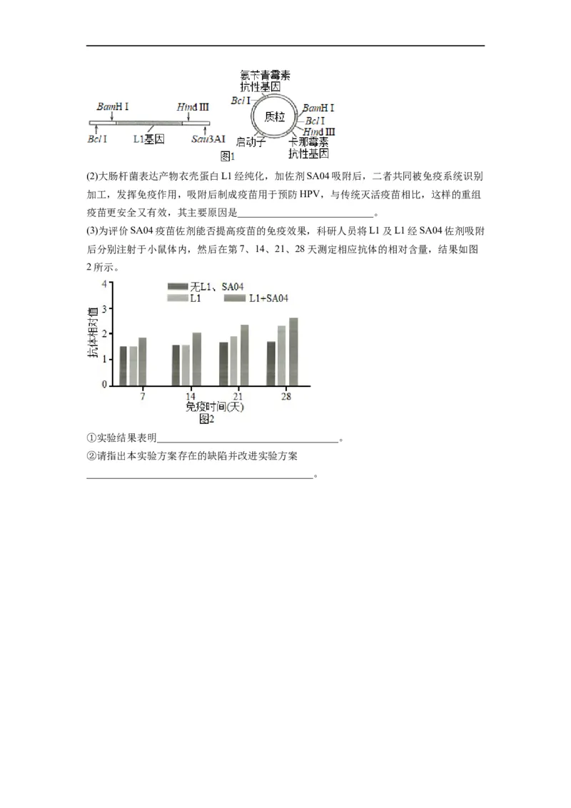 热点05基因工程的典型题分析（原卷版）_通用版（老高考）复习资料_2023年复习资料_专项复习_2023年高考生物热点&middot;重点&middot;难点专练（全国通用）