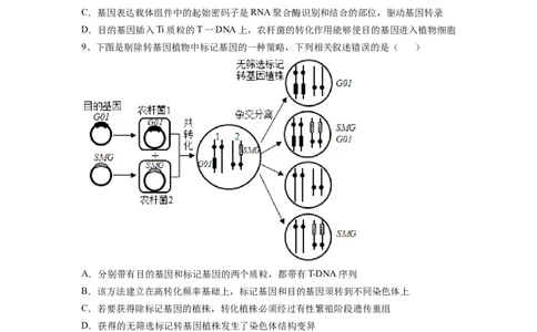 热点05基因工程的典型题分析（原卷版）_通用版（老高考）复习资料_2023年复习资料_专项复习_2023年高考生物热点&middot;重点&middot;难点专练（全国通用）