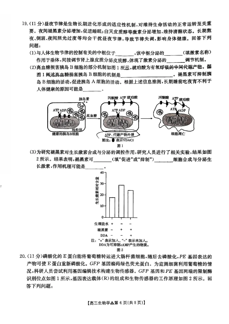 金太阳2026届高三联考313C生物试题_2024-2026高三（6-6月题库）_2026年03月高三试卷_2603162026届金太阳高三3月全国百万联考313C（全科）