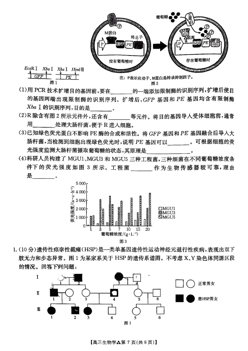 金太阳2026届高三联考313C生物试题_2024-2026高三（6-6月题库）_2026年03月高三试卷_2603162026届金太阳高三3月全国百万联考313C（全科）