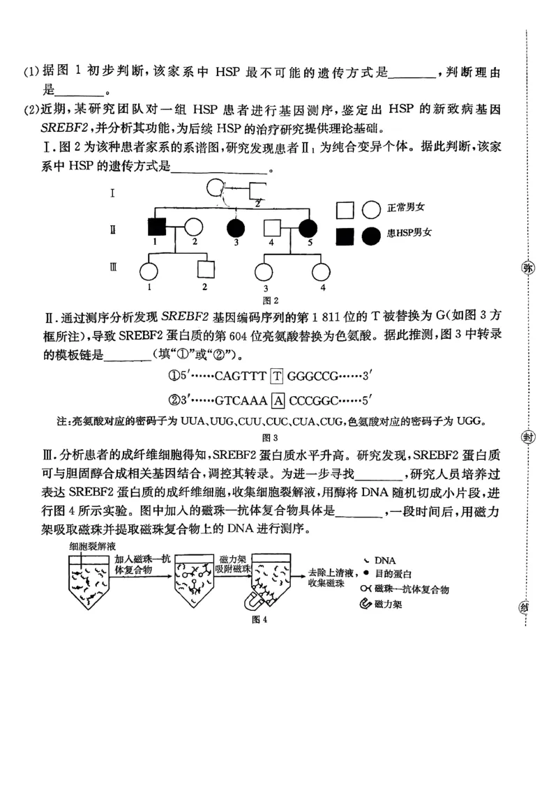 金太阳2026届高三联考313C生物试题_2024-2026高三（6-6月题库）_2026年03月高三试卷_2603162026届金太阳高三3月全国百万联考313C（全科）