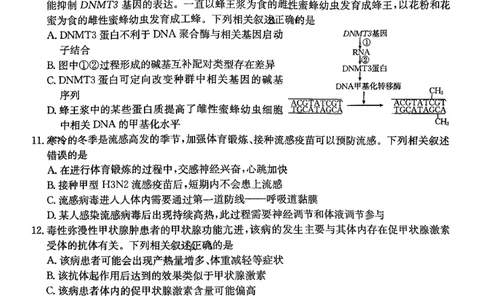 金太阳2026届高三联考313C生物试题_2024-2026高三（6-6月题库）_2026年03月高三试卷_2603162026届金太阳高三3月全国百万联考313C（全科）