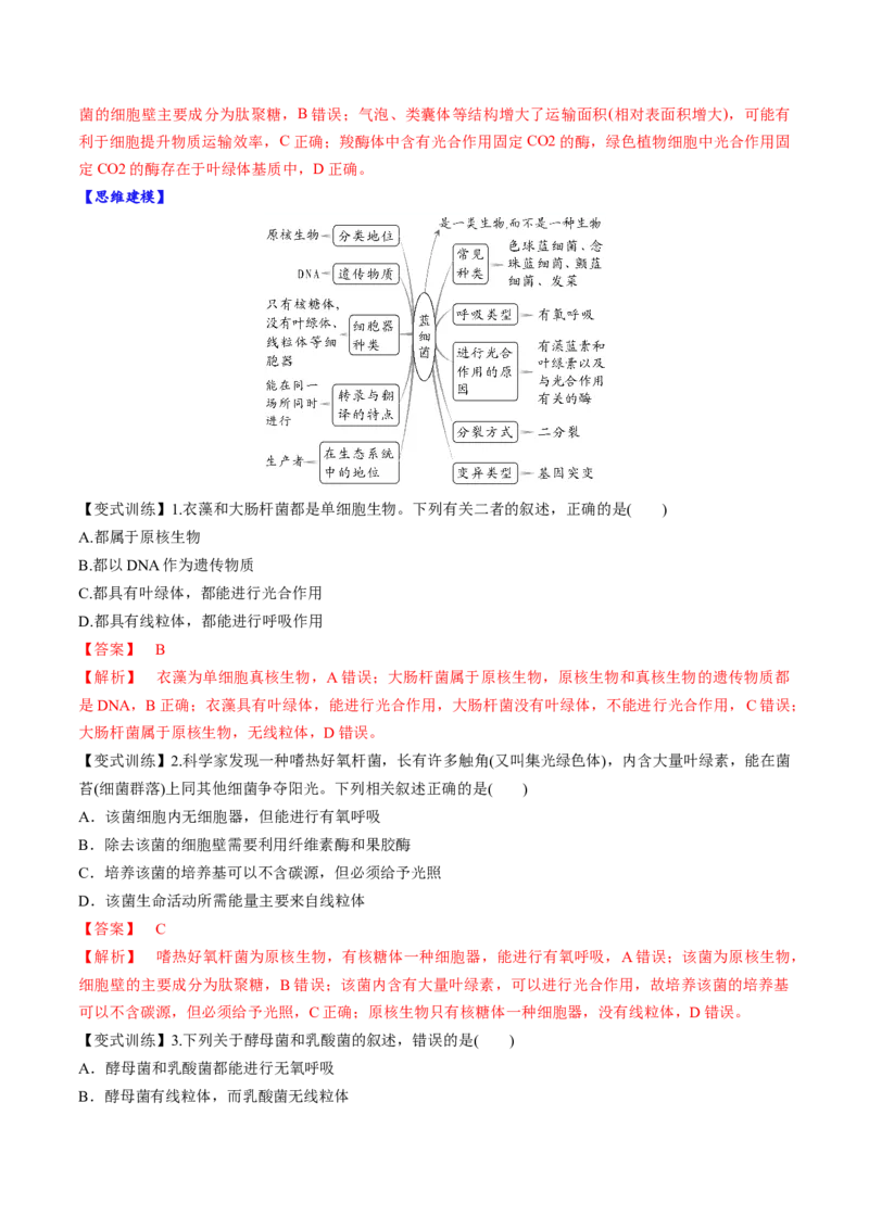 第01讲走近细胞（讲义）（解析版）_新高考复习资料_2025年新高考资料_2025年高考生物一轮复习讲练测（新教材新高考）