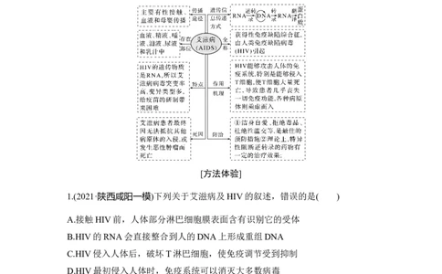 热点微练24艾滋病与HIV_通用版（老高考）复习资料_2023年复习资料_一轮复习_2023年高考生物一轮复习讲义+课件（全国版）_2023年高考生物一轮复习讲义（全国版）_赠补充习题