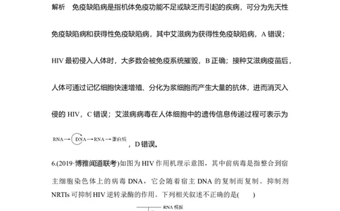 热点微练24艾滋病与HIV_通用版（老高考）复习资料_2023年复习资料_一轮复习_2023年高考生物一轮复习讲义+课件（全国版）_2023年高考生物一轮复习讲义（全国版）_赠补充习题