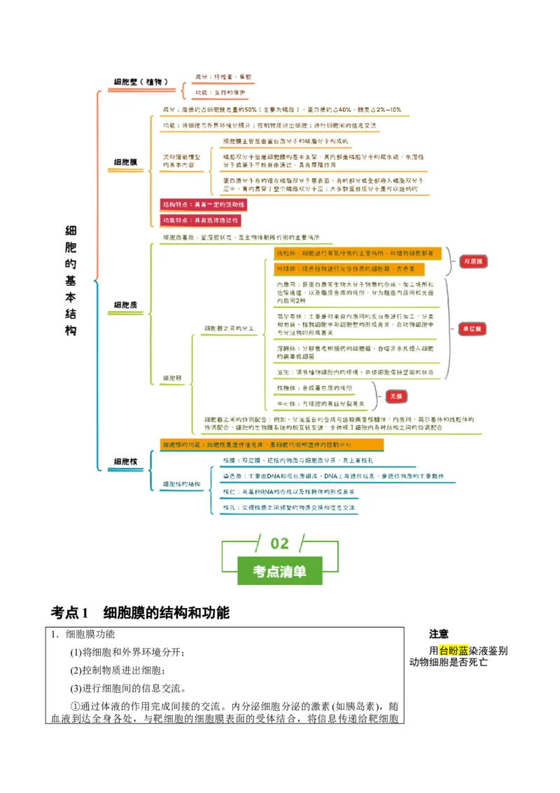 知识清单03+细胞的基本结构（4大考点+8个易错点）-上好课2025年高考生物一轮复习知识清单_2025年新高考资料_一轮复习_上好课2025年高考生物一轮复习知识清单325572639