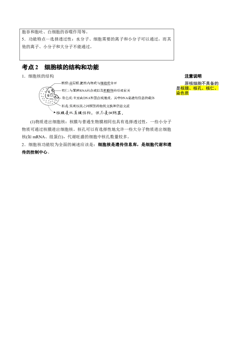 知识清单03+细胞的基本结构（4大考点+8个易错点）-上好课2025年高考生物一轮复习知识清单_2025年新高考资料_一轮复习_上好课2025年高考生物一轮复习知识清单325572639