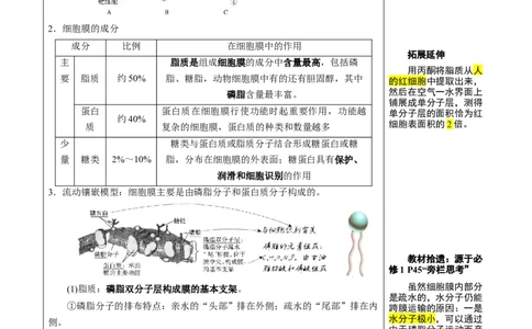 知识清单03+细胞的基本结构（4大考点+8个易错点）-上好课2025年高考生物一轮复习知识清单_2025年新高考资料_一轮复习_上好课2025年高考生物一轮复习知识清单325572639
