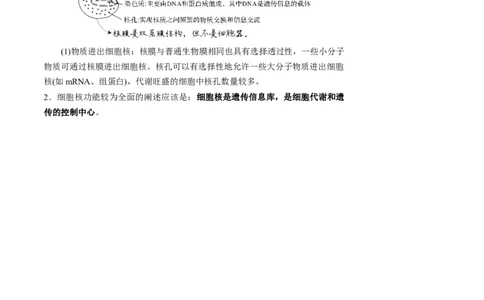 知识清单03+细胞的基本结构（4大考点+8个易错点）-上好课2025年高考生物一轮复习知识清单_2025年新高考资料_一轮复习_上好课2025年高考生物一轮复习知识清单325572639