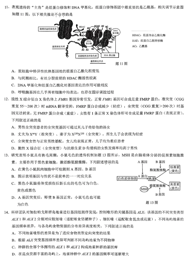 重庆市2026年普通高等学校招生全国统一考试生物_2024-2026高三（6-6月题库）_2026年02月高三试卷_260201重庆市2026年普通高等学校招生全国统一考试（康德一诊）（全科）
