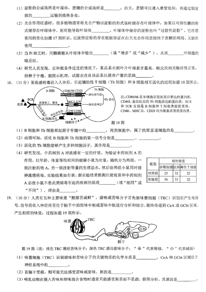 重庆市2026年普通高等学校招生全国统一考试生物_2024-2026高三（6-6月题库）_2026年02月高三试卷_260201重庆市2026年普通高等学校招生全国统一考试（康德一诊）（全科）