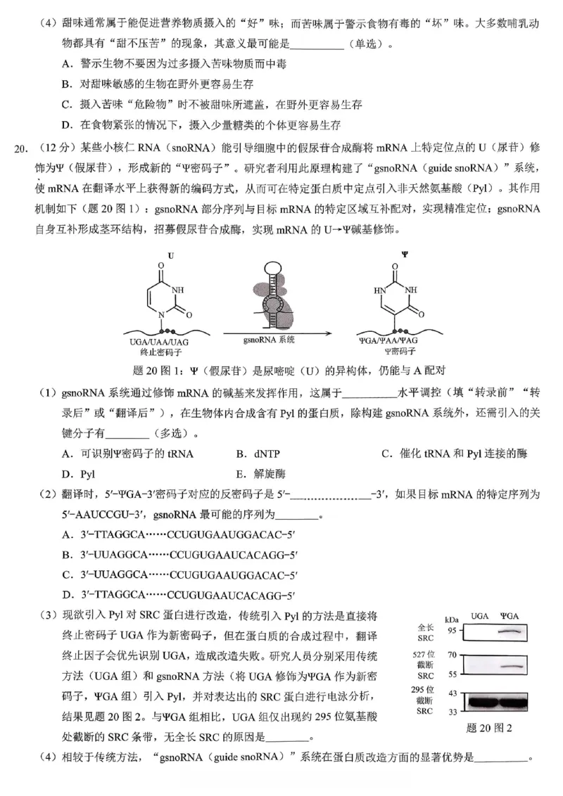 重庆市2026年普通高等学校招生全国统一考试生物_2024-2026高三（6-6月题库）_2026年02月高三试卷_260201重庆市2026年普通高等学校招生全国统一考试（康德一诊）（全科）